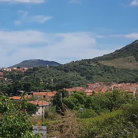 3Amb31 - Studio Pour 3 Personnes Avec Magnifique Vue Sur La Baie 科利尤尔 外观 照片