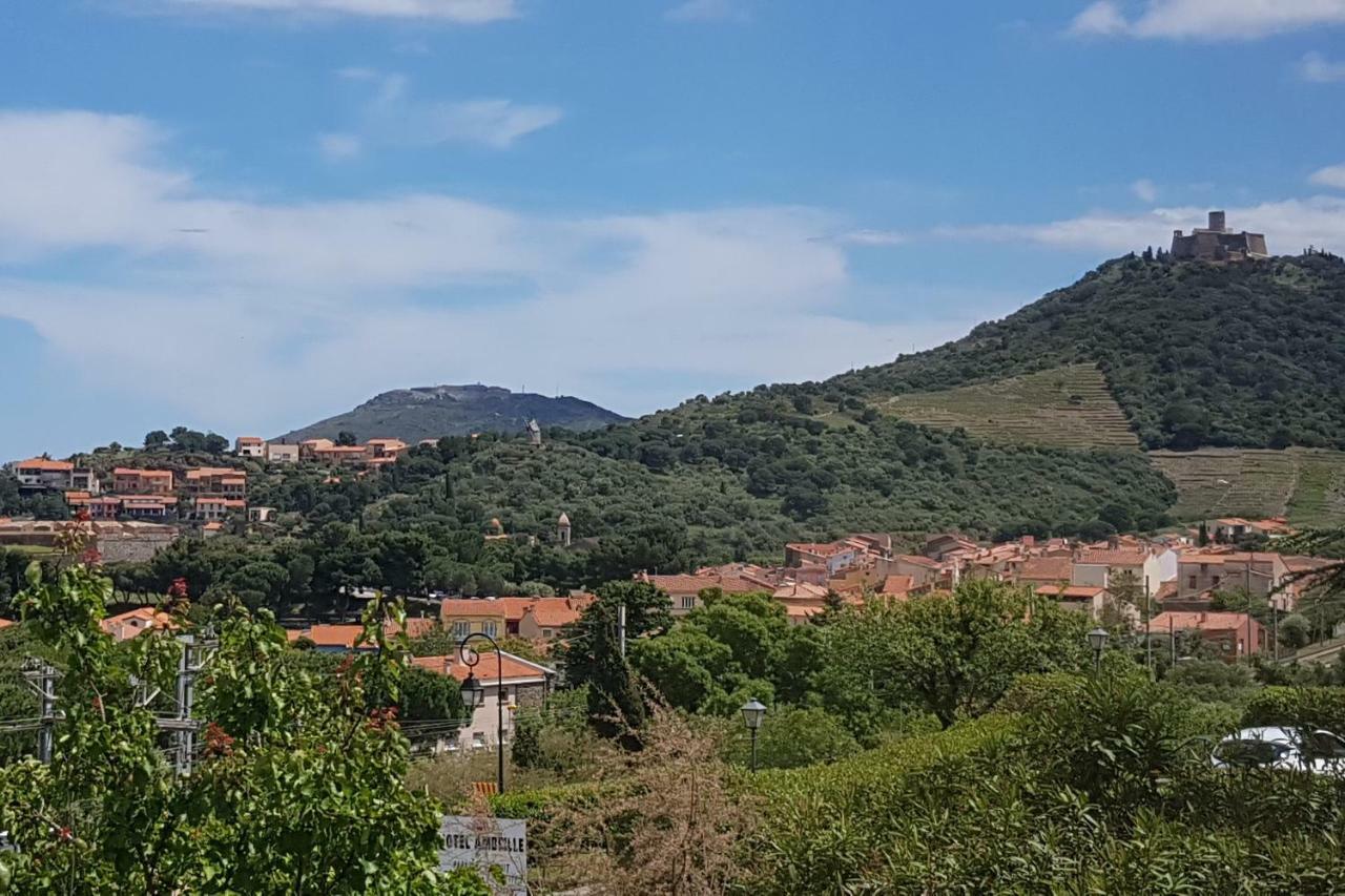 3Amb31 - Studio Pour 3 Personnes Avec Magnifique Vue Sur La Baie 科利尤尔 外观 照片